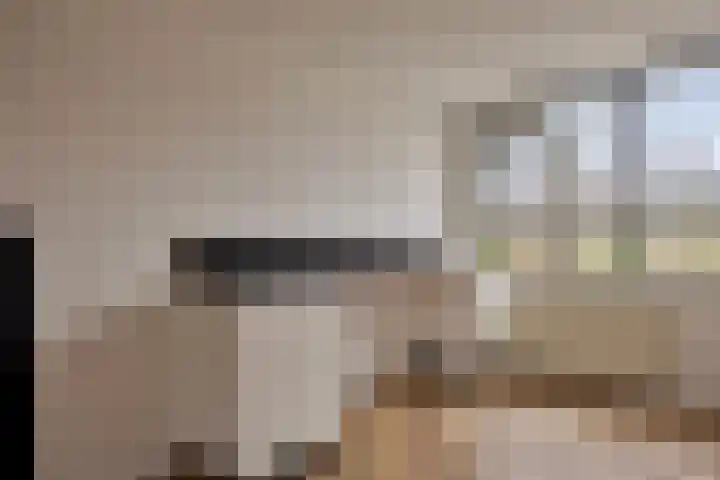 Esdoorn 28 Odijk thumbnail 13