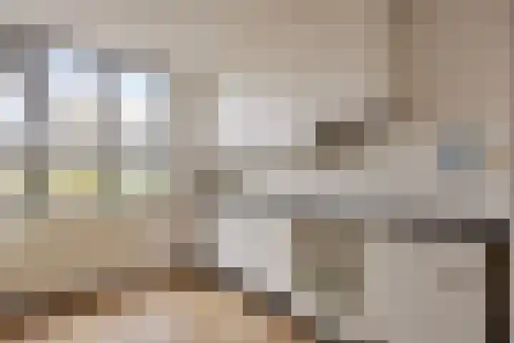 Esdoorn 28 Odijk thumbnail 14