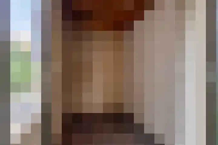 Esdoorn 28 Odijk thumbnail 16