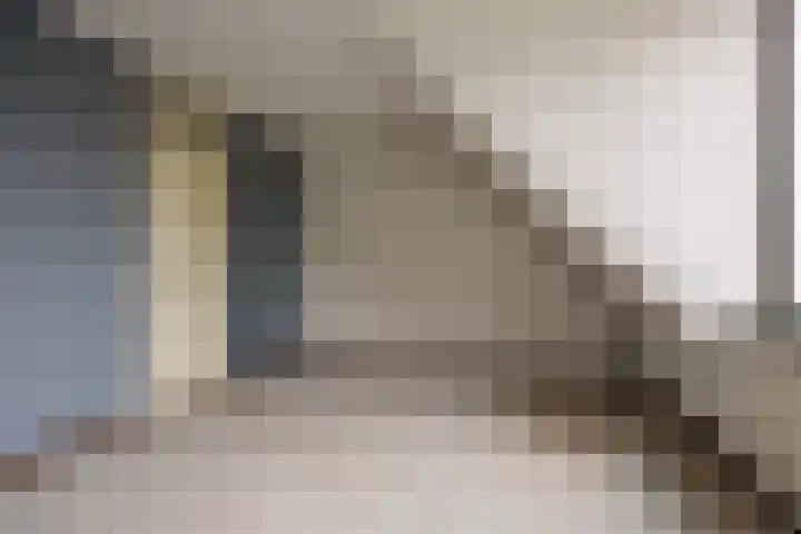 Esdoorn 28 Odijk thumbnail 20