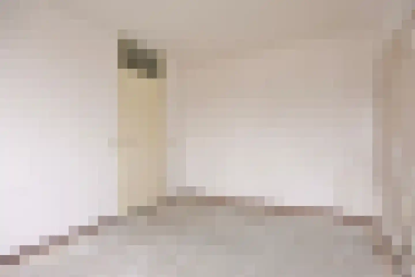 Esdoorn 28 Odijk thumbnail 24