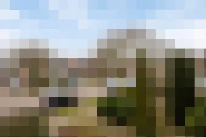 Esdoorn 28 Odijk thumbnail 27