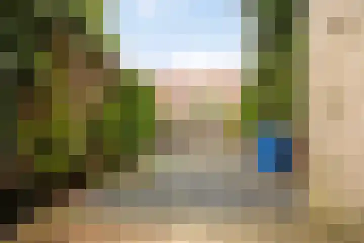 Esdoorn 28 Odijk thumbnail 28