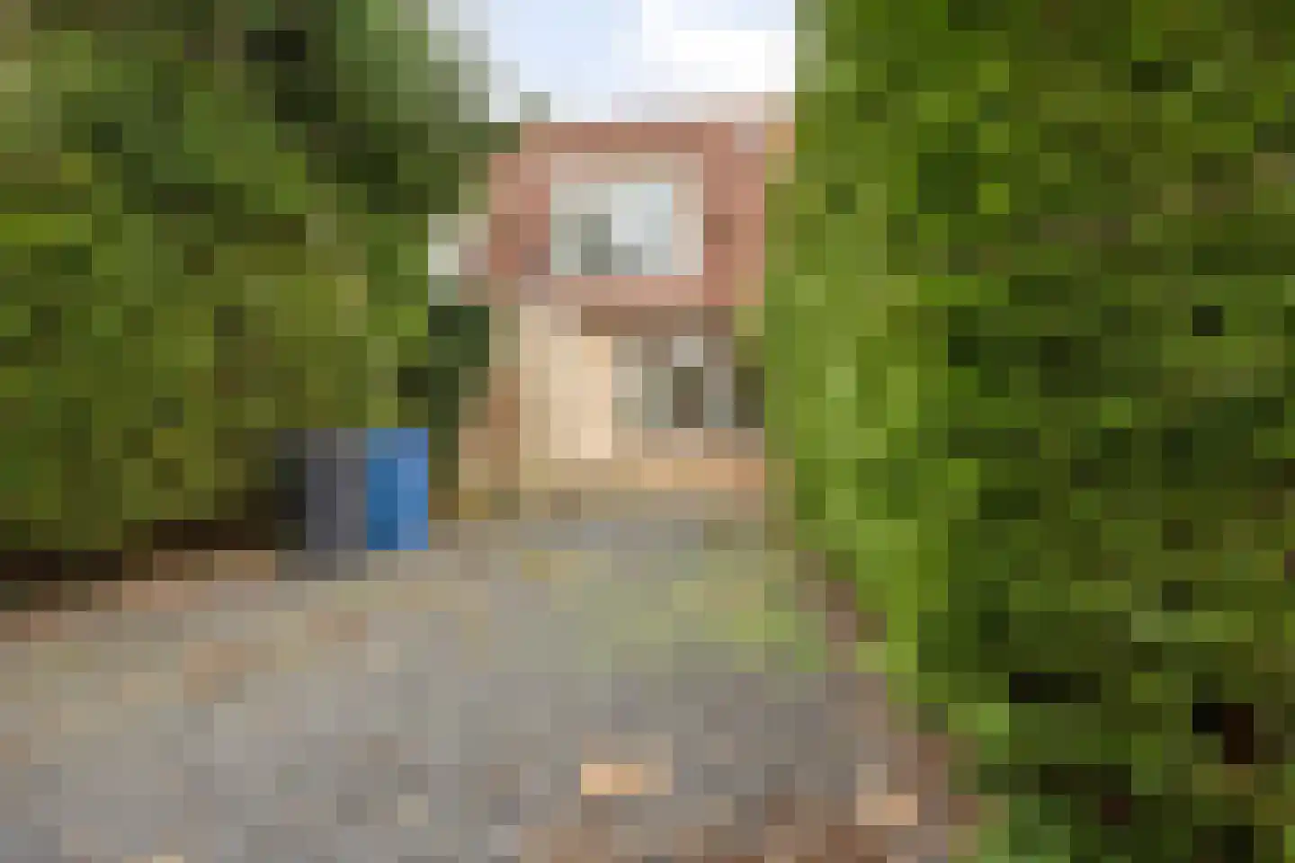 Esdoorn 28 Odijk thumbnail 30