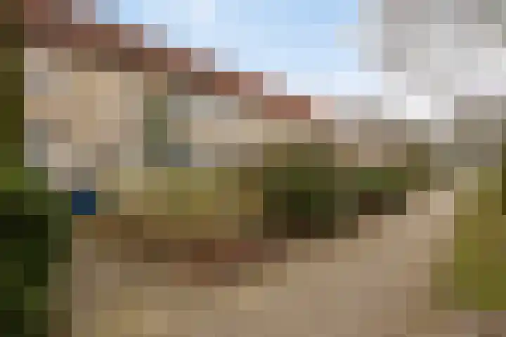 Esdoorn 28 Odijk thumbnail 32