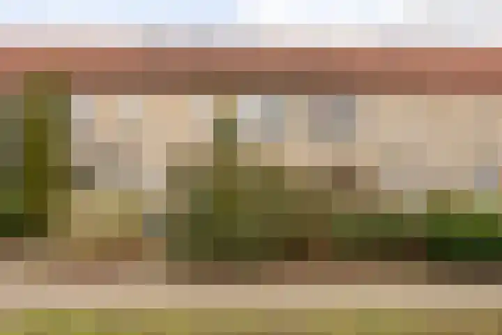 Esdoorn 28 Odijk thumbnail 35