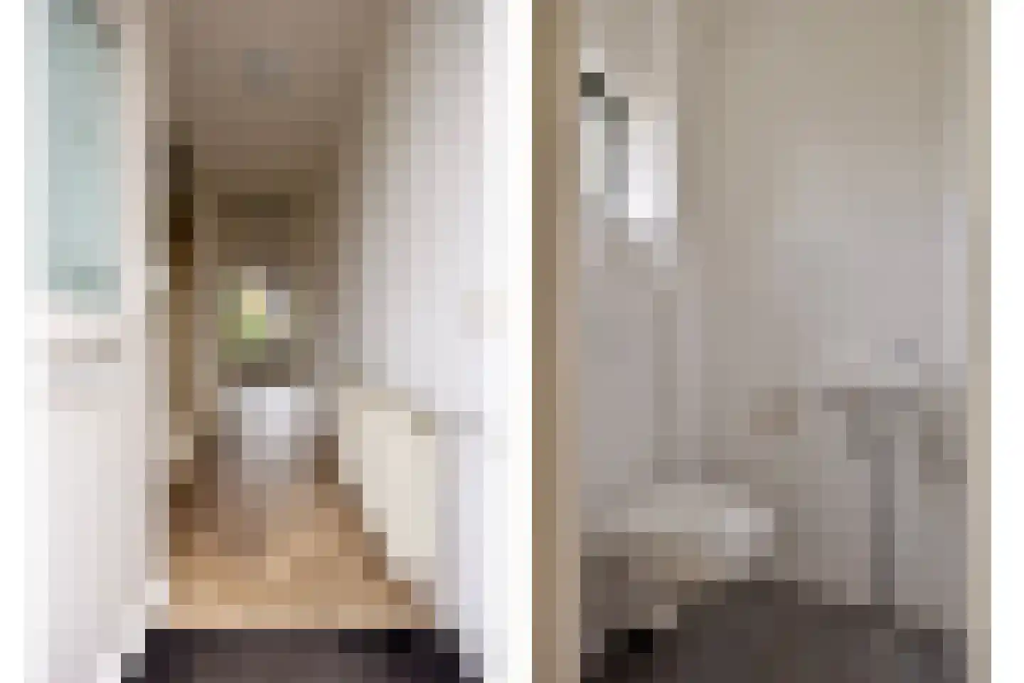 Esdoorn 28 Odijk thumbnail 6