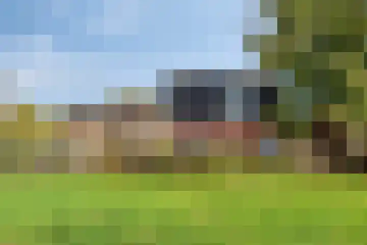 Esdoorn 29 Oost West en Middelbeers thumbnail 35