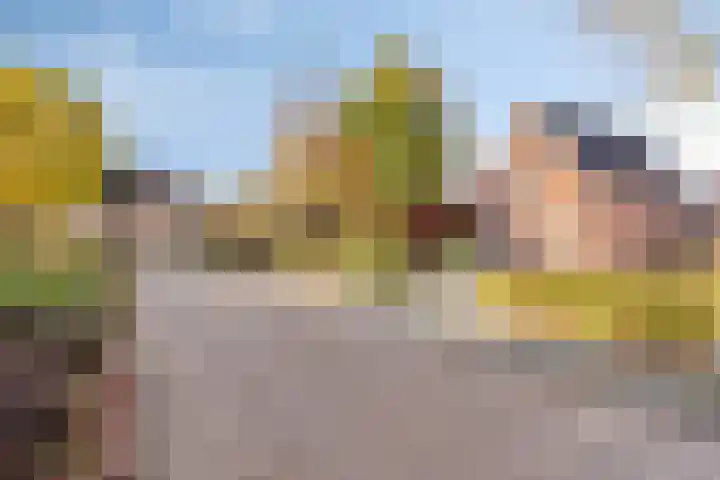Esdoorn 29 Oost West en Middelbeers thumbnail 37