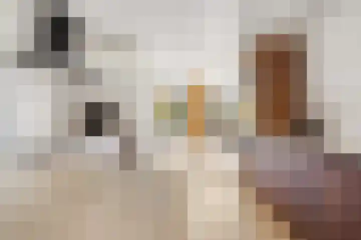 Esdoorn 31 Odijk thumbnail 18
