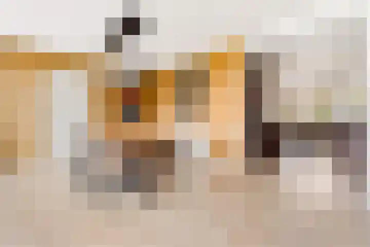 Esdoorn 31 Odijk thumbnail 27