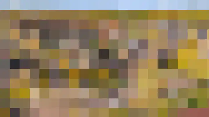 Esdoorn 31 Odijk thumbnail 4