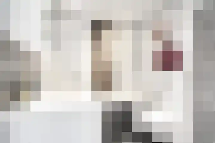 Esdoorn 31 Odijk thumbnail 44