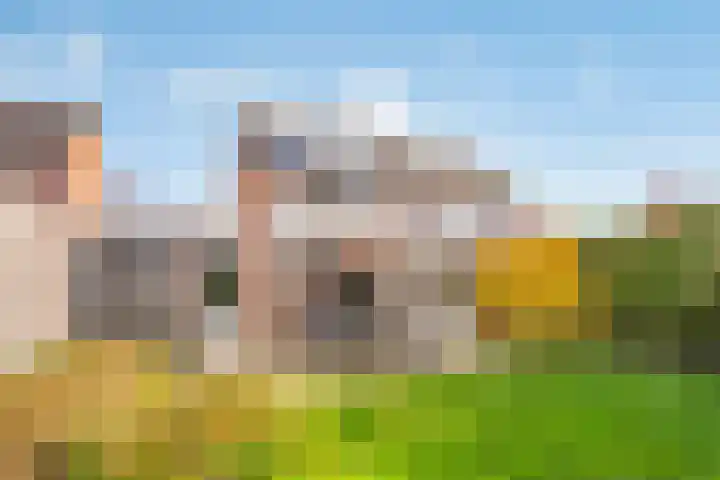 Esdoorn 31 Odijk thumbnail 57