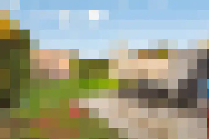Esdoorn 31 Odijk thumbnail 58