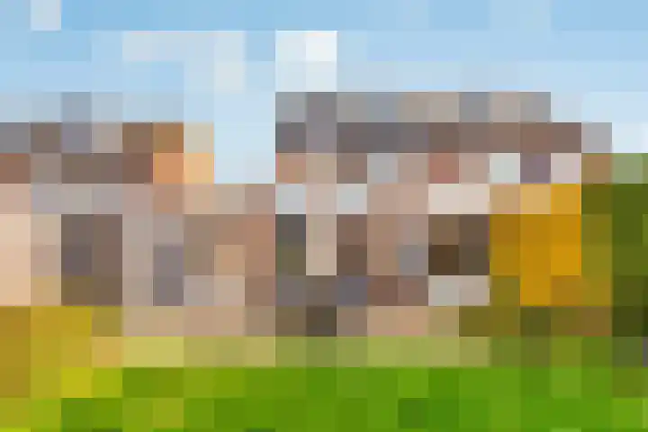 Esdoorn 31 Odijk thumbnail 60