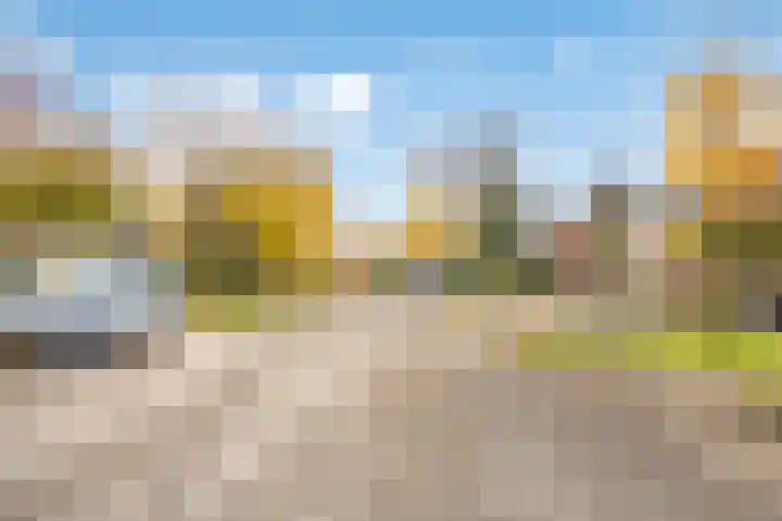 Esdoorn 31 Odijk thumbnail 68