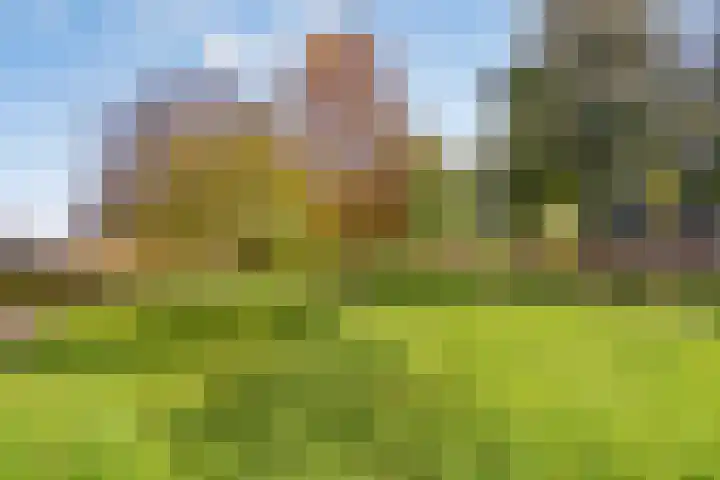 Esdoorn 31 Odijk thumbnail 70