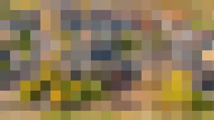 Esdoorn 31 Odijk thumbnail 71