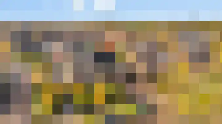 Esdoorn 31 Odijk thumbnail 72