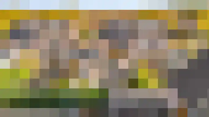 Esdoorn 31 Odijk thumbnail 73