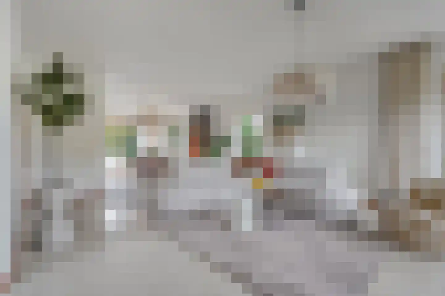 Esdoorn 6 Heino thumbnail 14