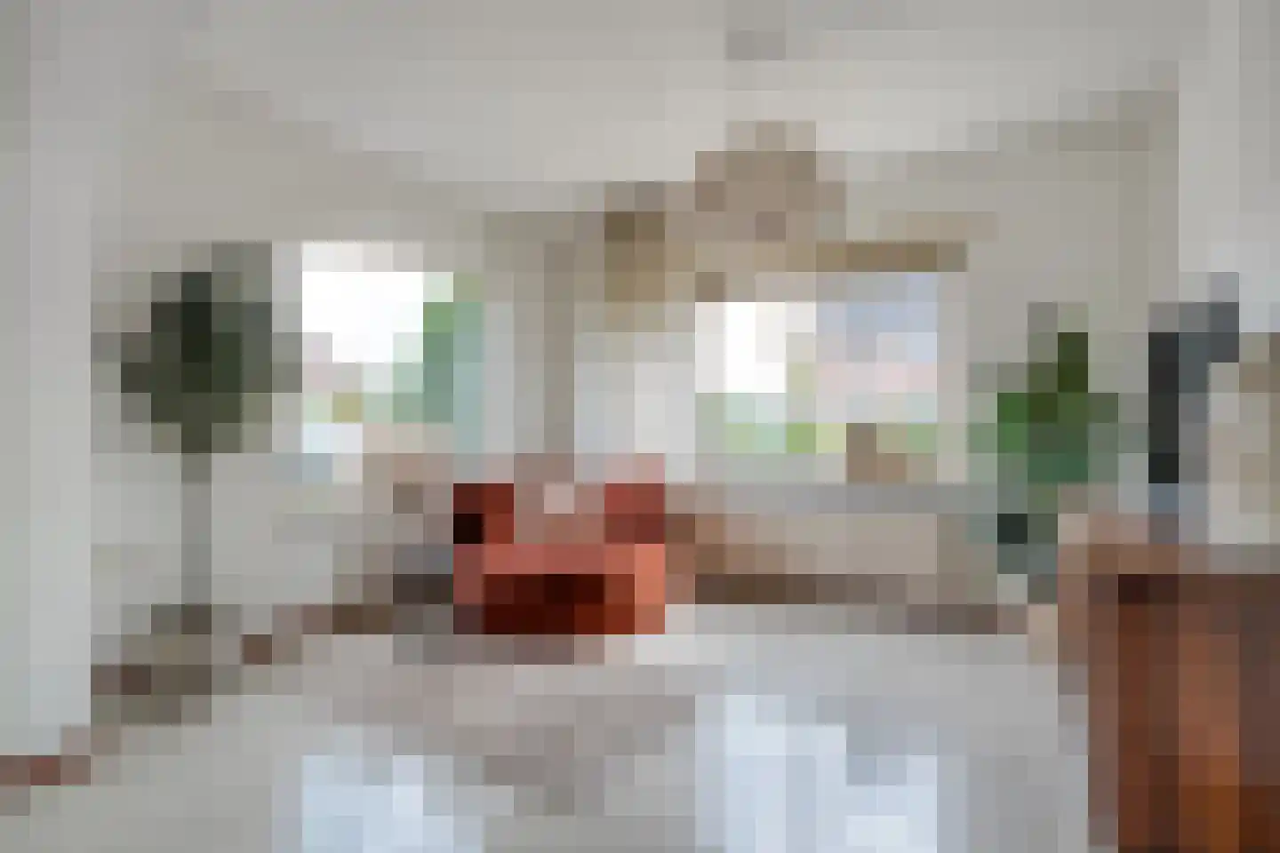 Esdoorn 6 Heino thumbnail 15