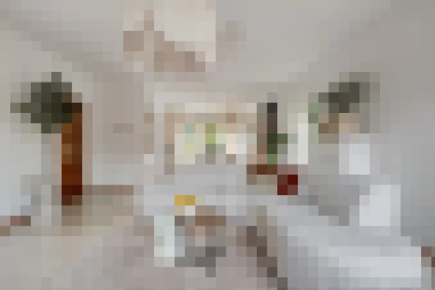 Esdoorn 6 Heino thumbnail 18