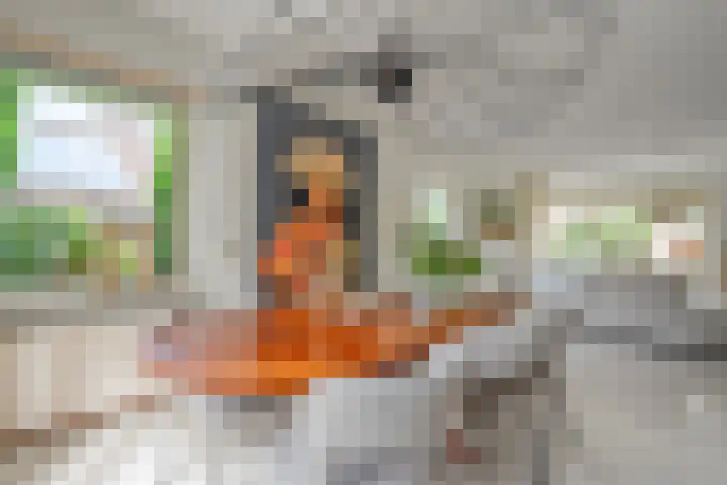 Esdoorn 6 Heino thumbnail 23