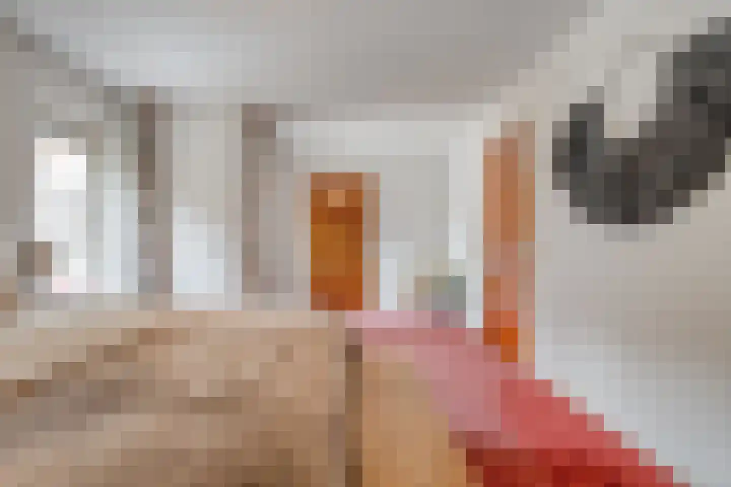 Esdoorn 6 Heino thumbnail 28
