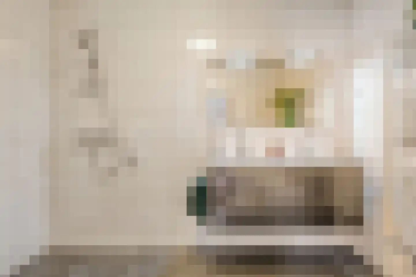 Esdoorn 6 Heino thumbnail 29