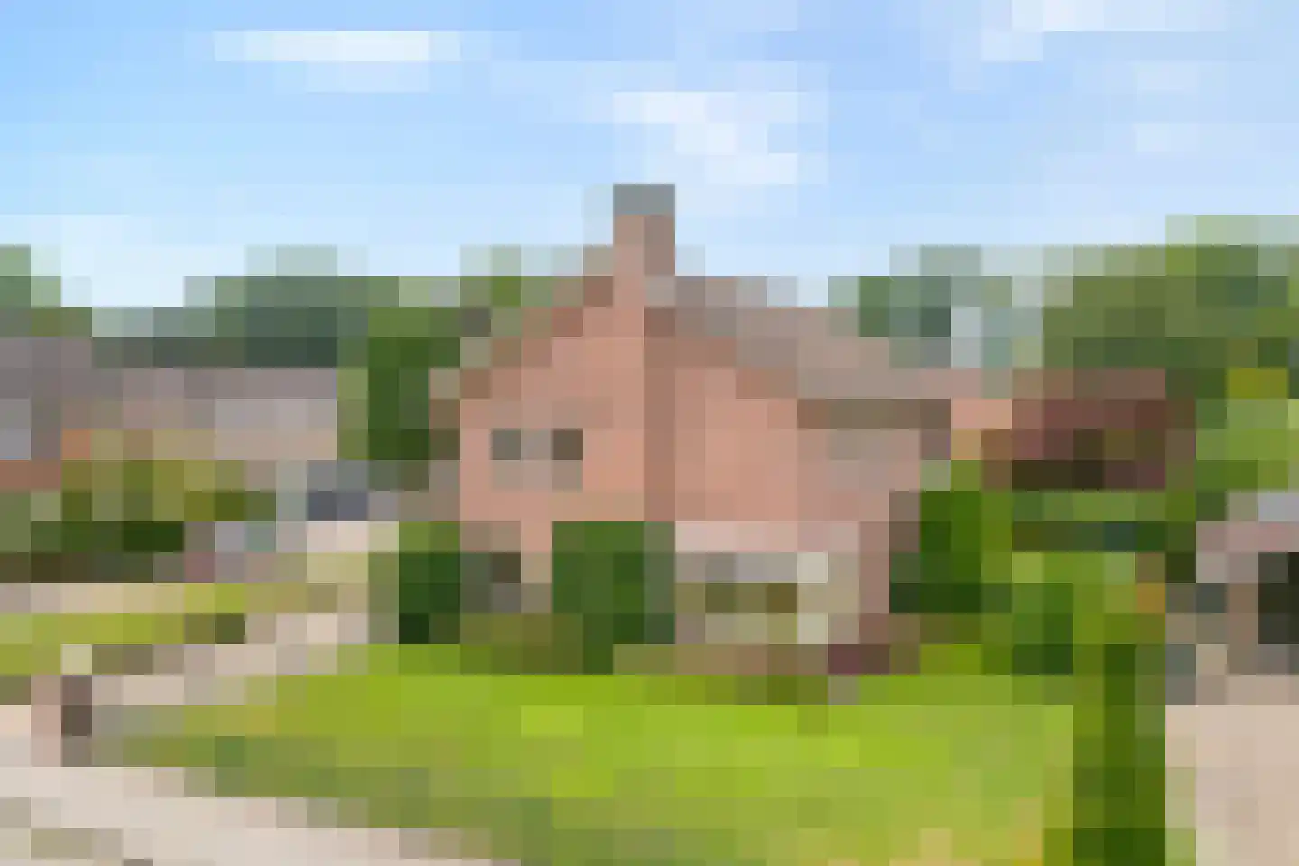 Esdoorn 6 Heino thumbnail 4