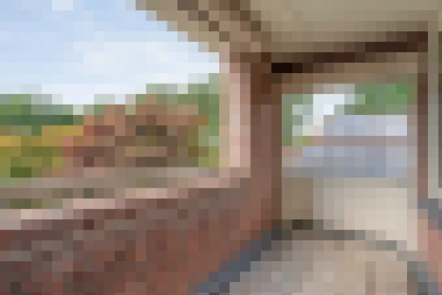 Esdoorn 6 Heino thumbnail 43