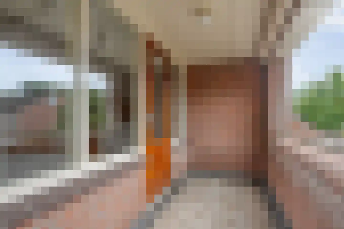 Esdoorn 6 Heino thumbnail 44