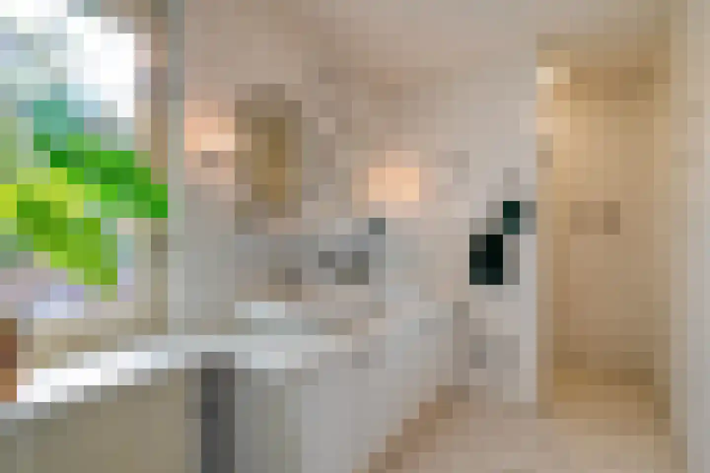 Esdoorn 6 Heino thumbnail 48