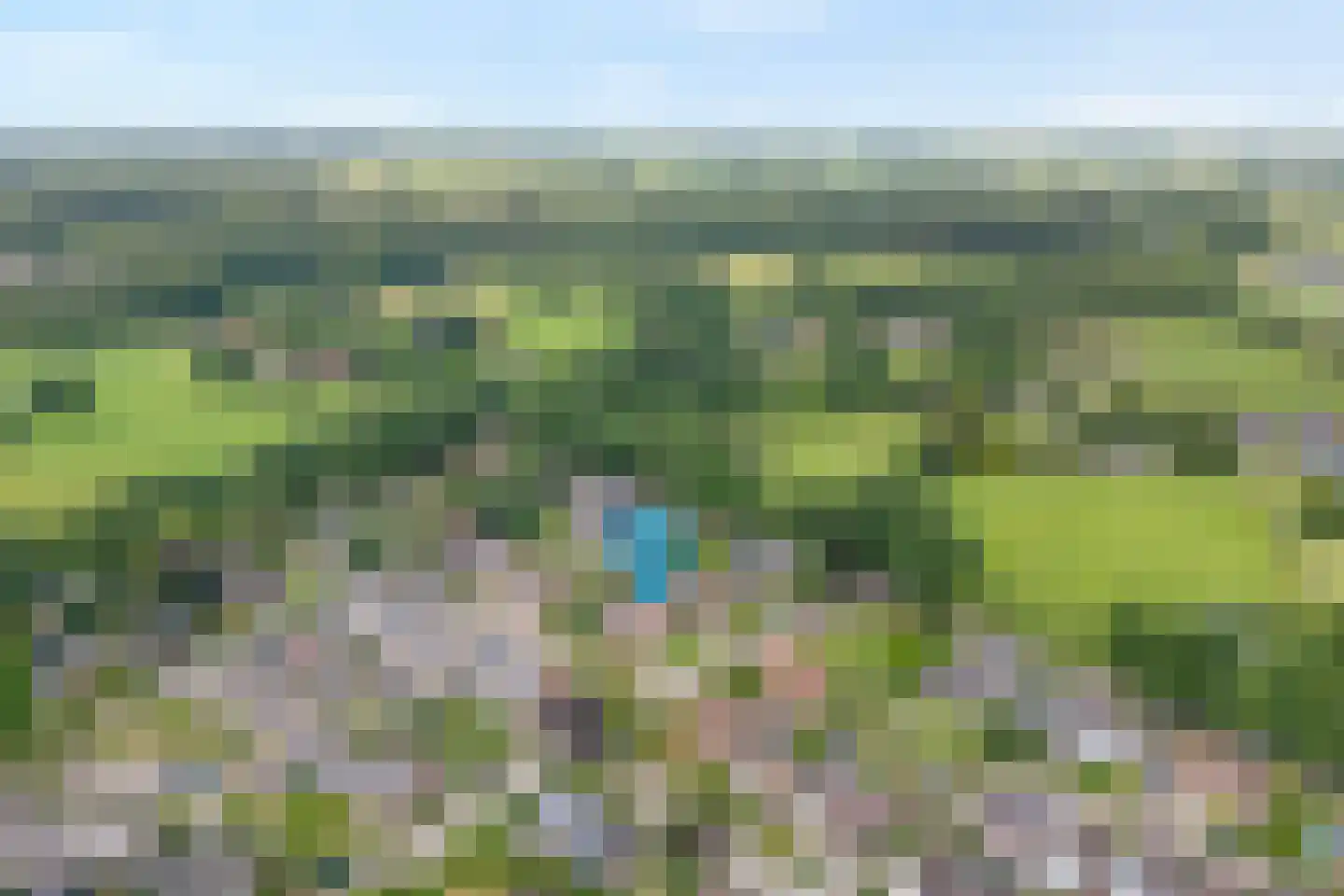 Esdoorn 6 Heino thumbnail 5
