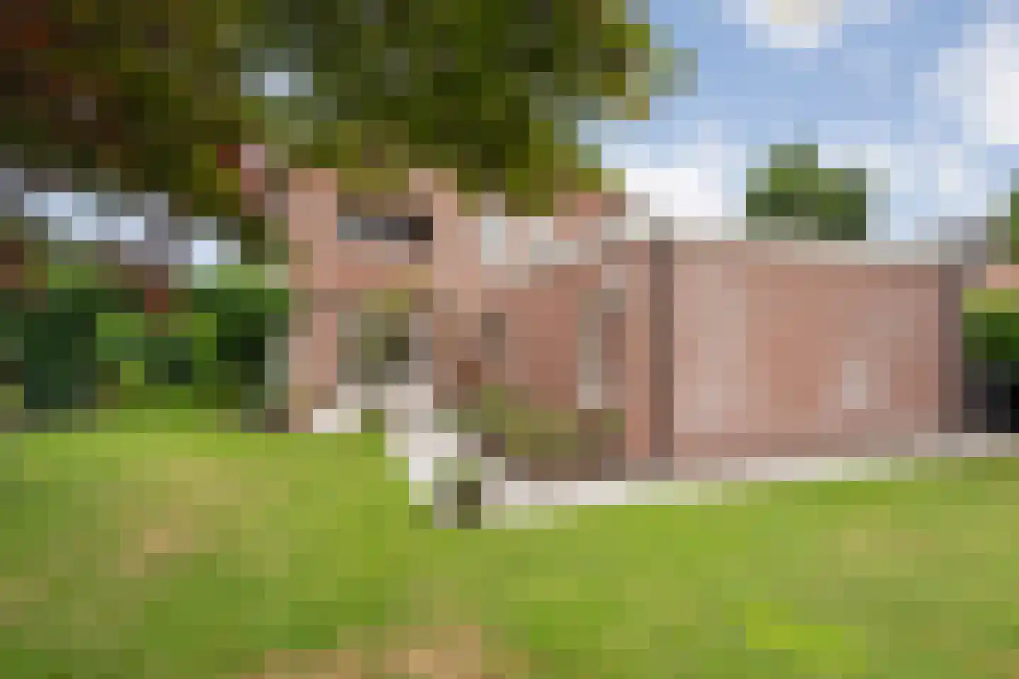Esdoorn 6 Heino thumbnail 59