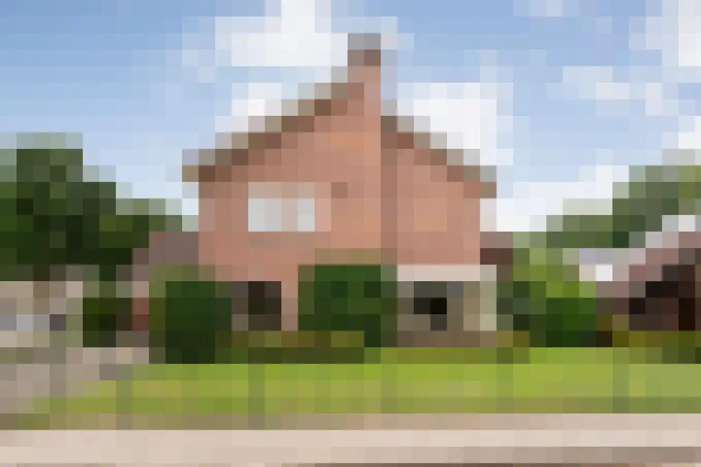 Esdoorn 6 Heino thumbnail 6
