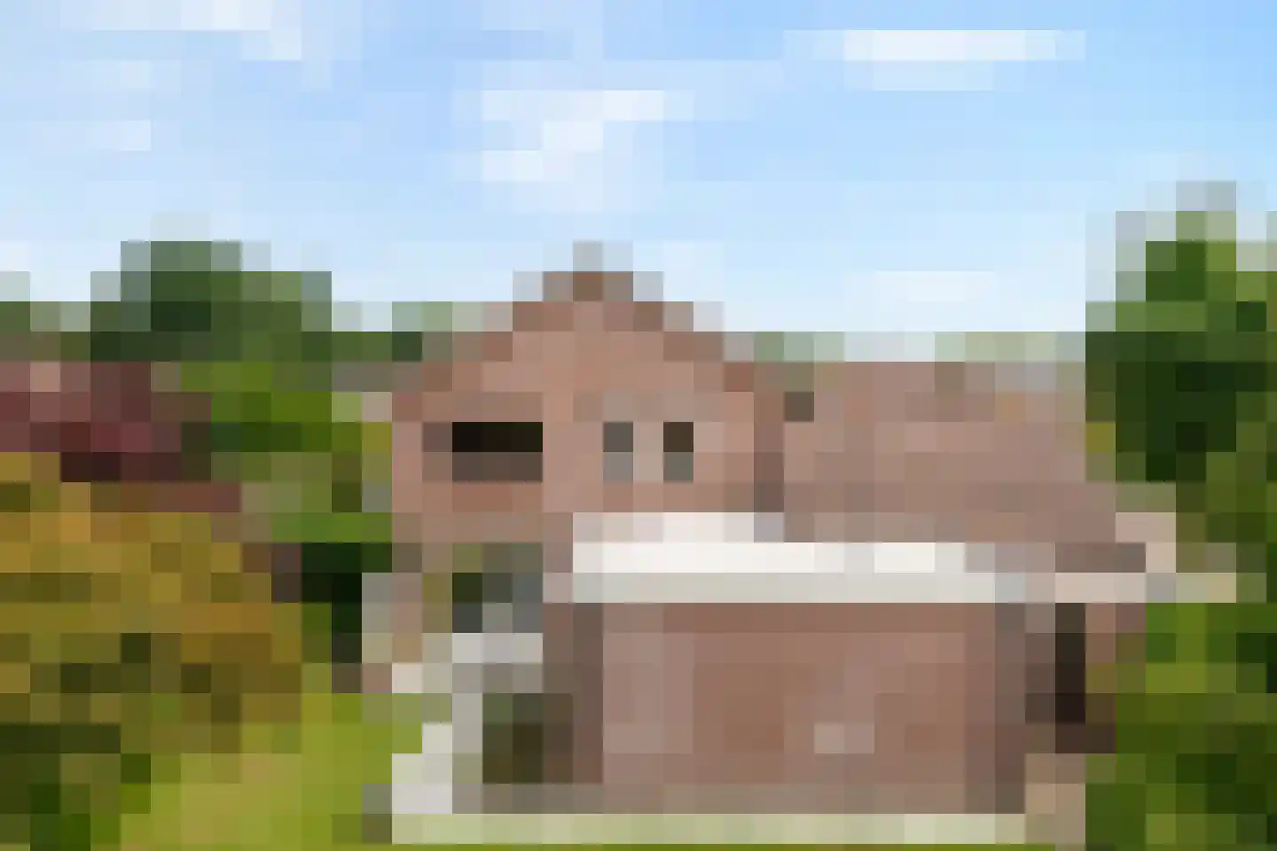 Esdoorn 6 Heino thumbnail 60