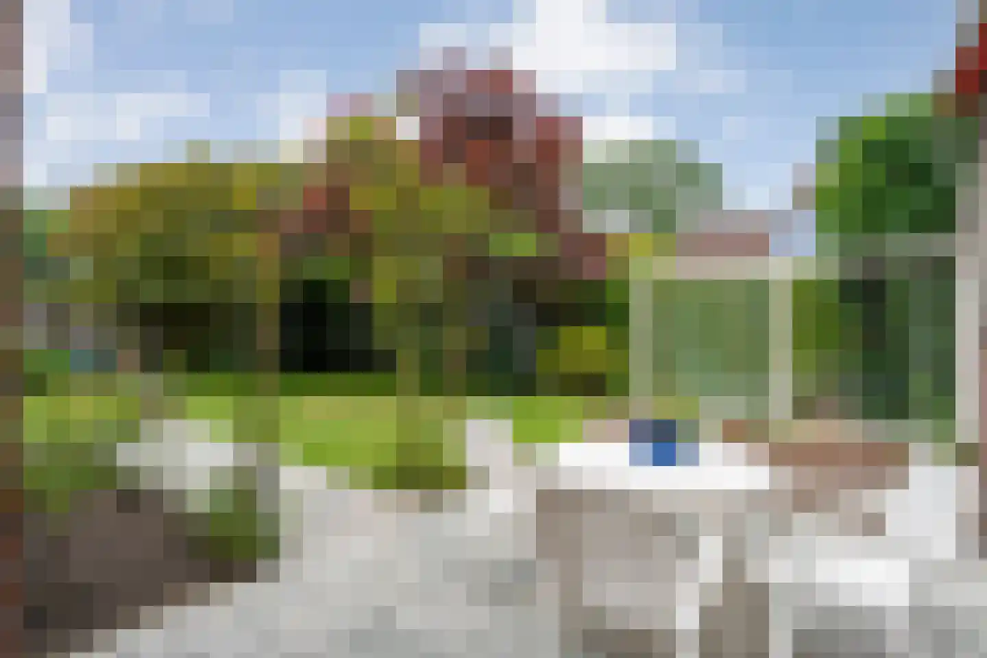 Esdoorn 6 Heino thumbnail 62