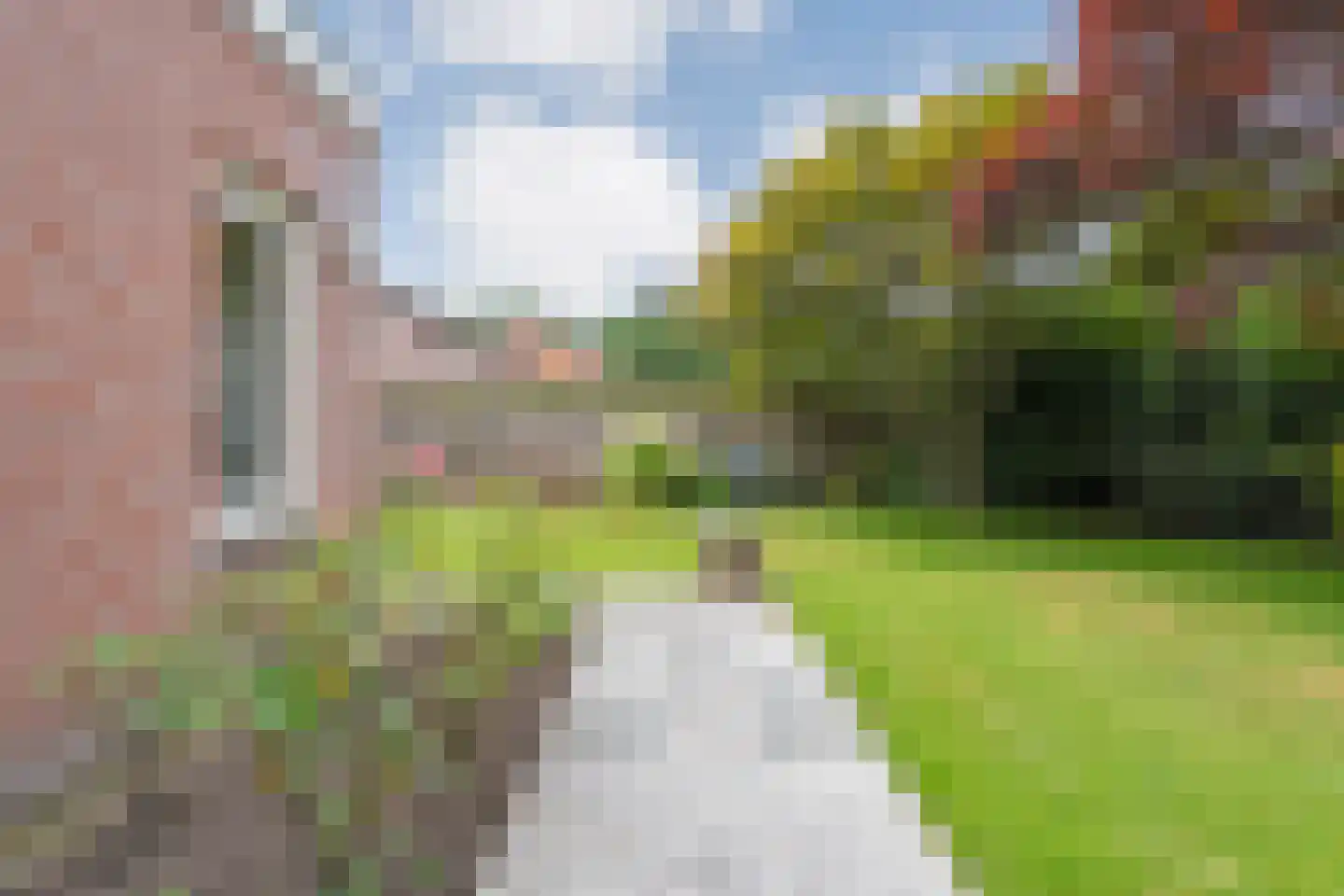 Esdoorn 6 Heino thumbnail 63