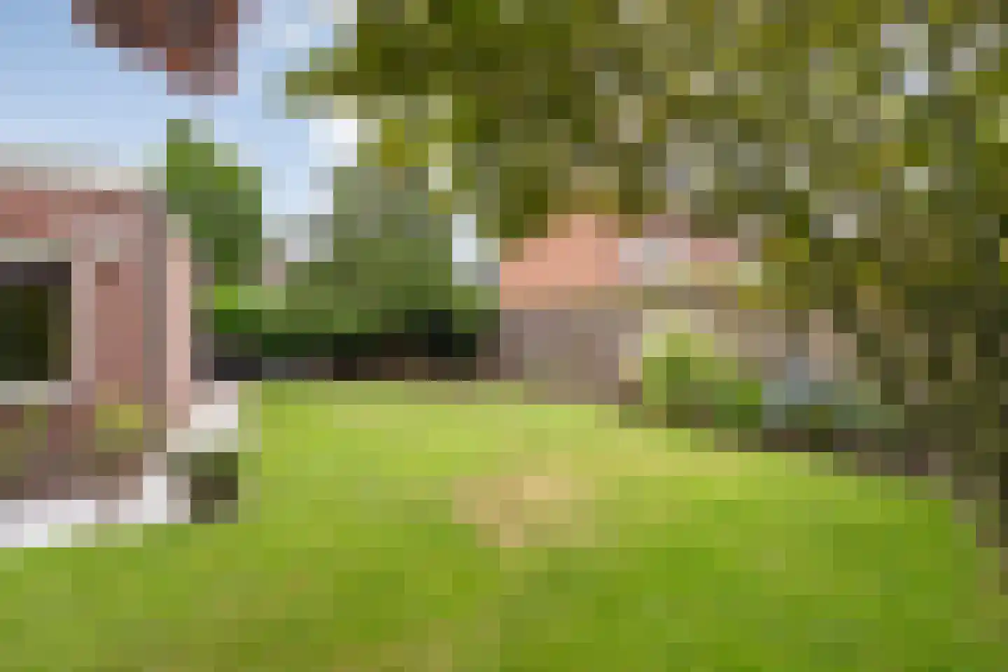Esdoorn 6 Heino thumbnail 65