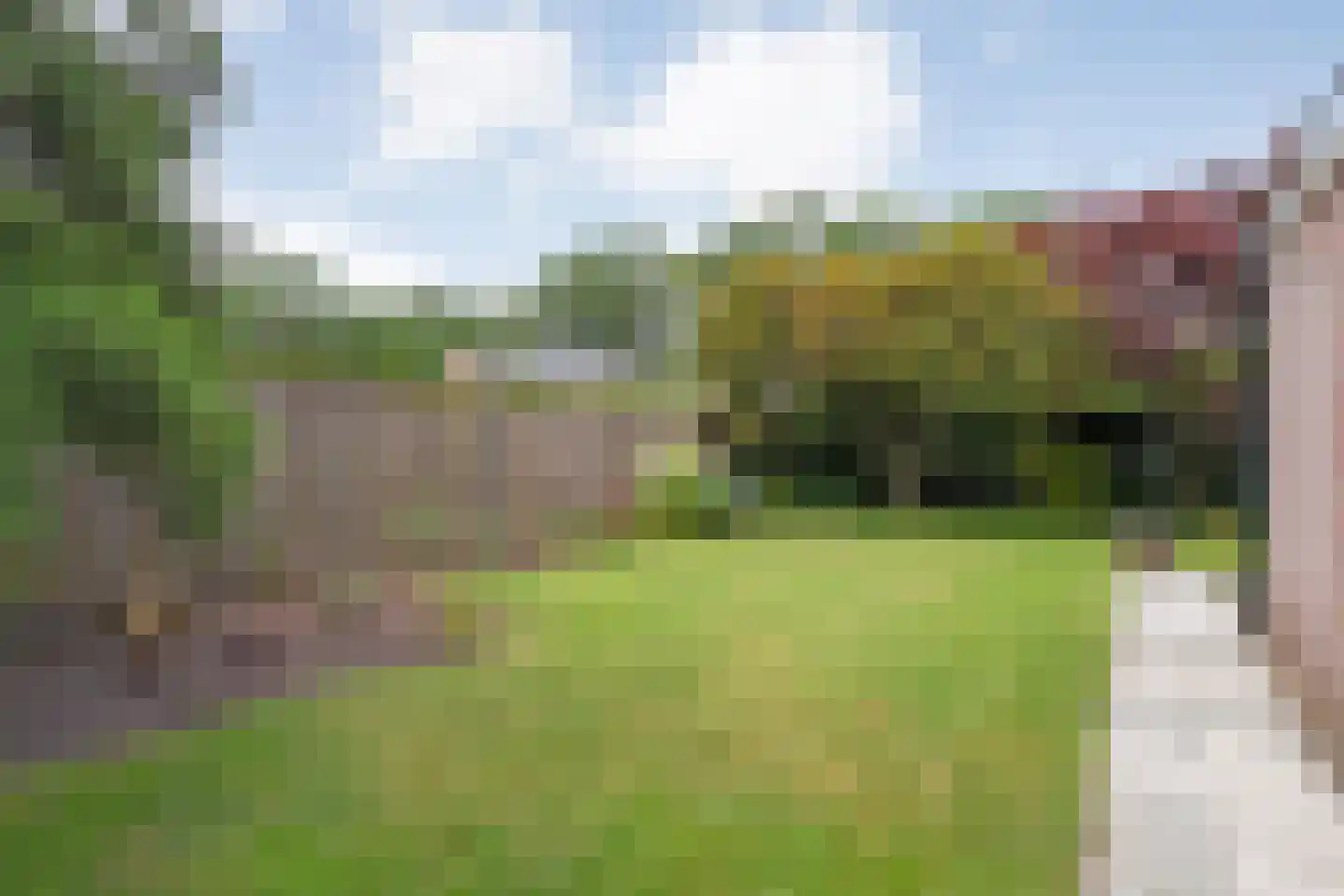 Esdoorn 6 Heino thumbnail 67