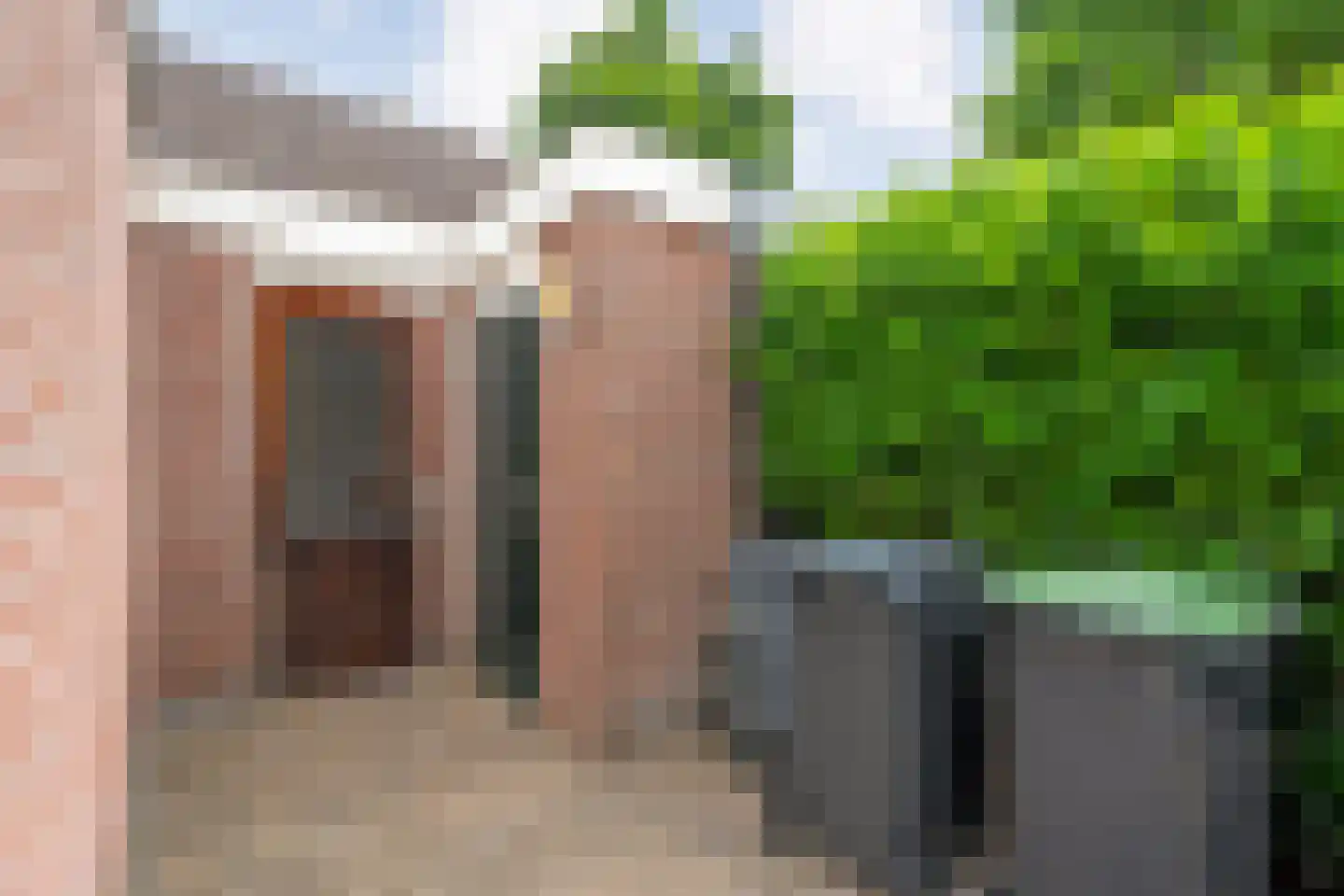 Esdoorn 6 Heino thumbnail 68