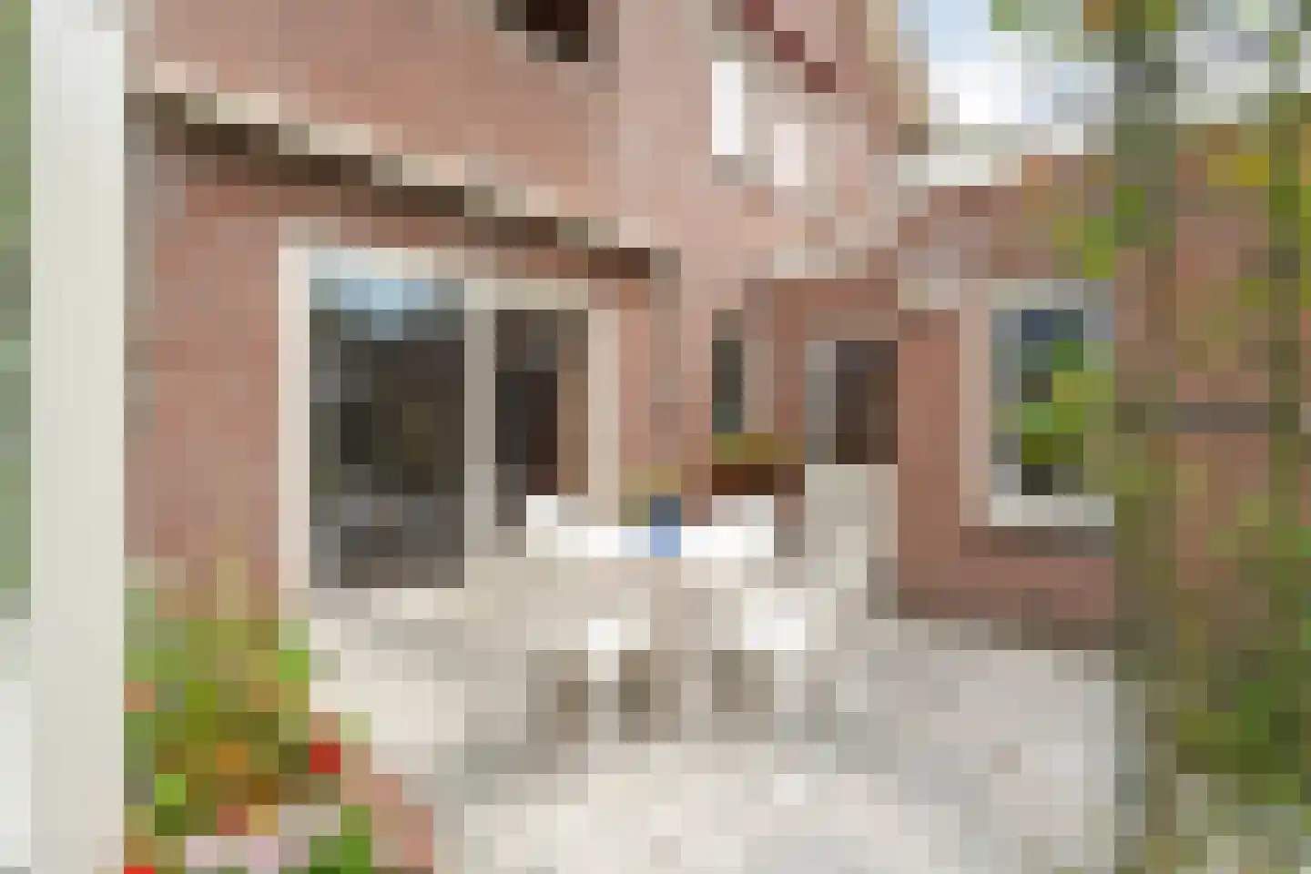 Esdoorn 6 Heino thumbnail 69