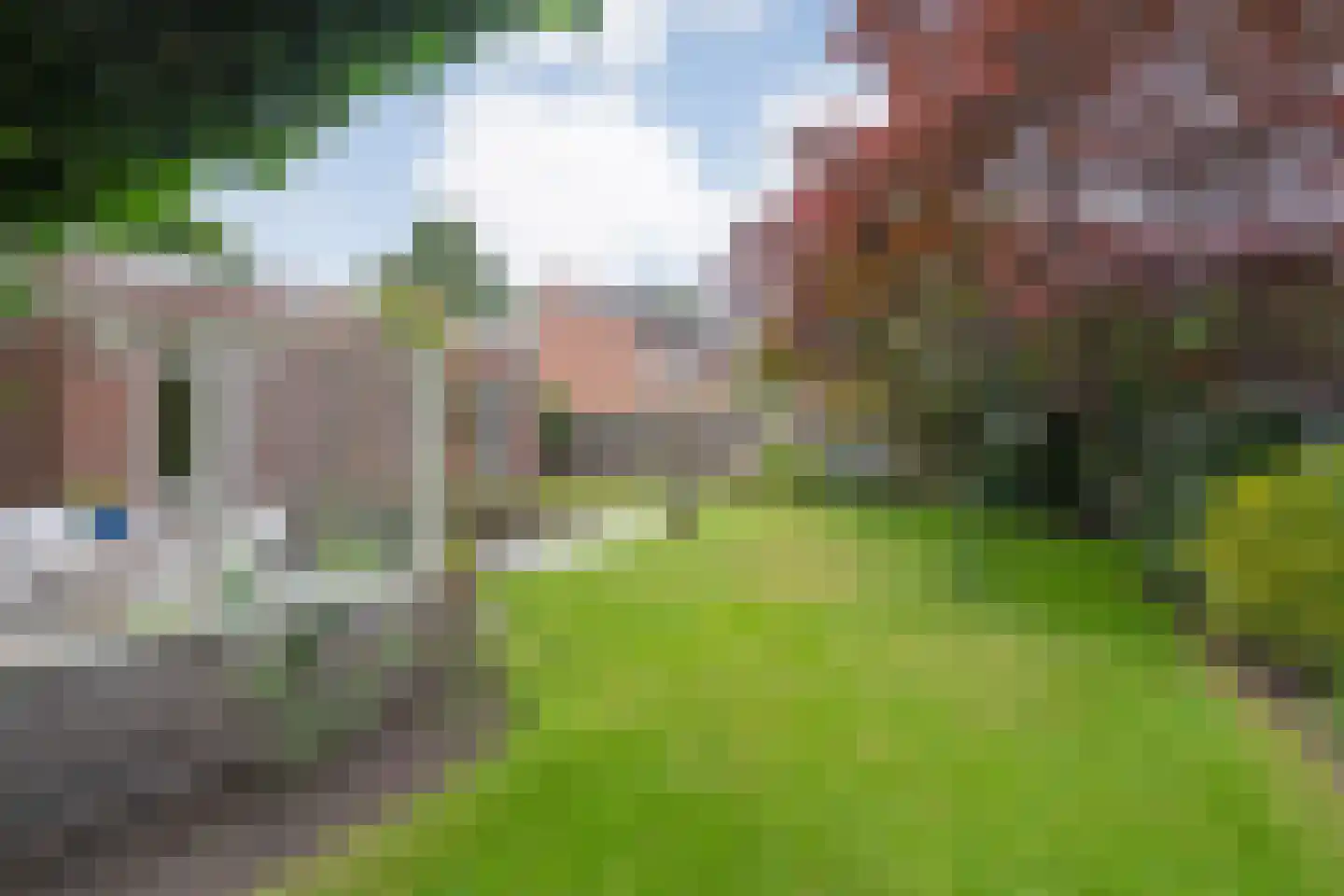 Esdoorn 6 Heino thumbnail 71
