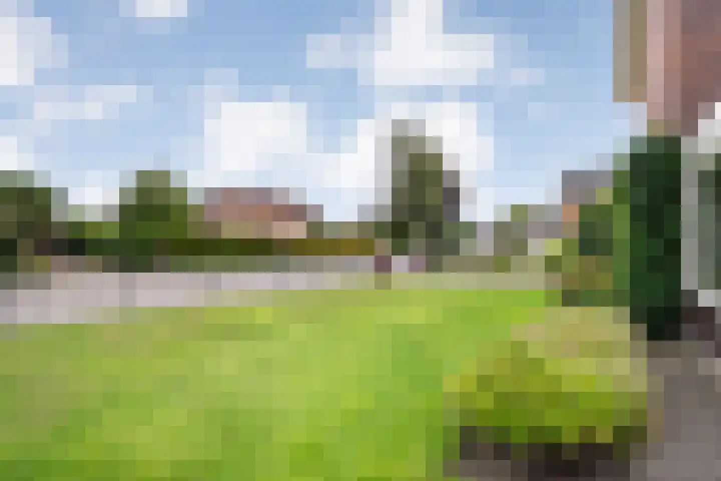 Esdoorn 6 Heino thumbnail 73