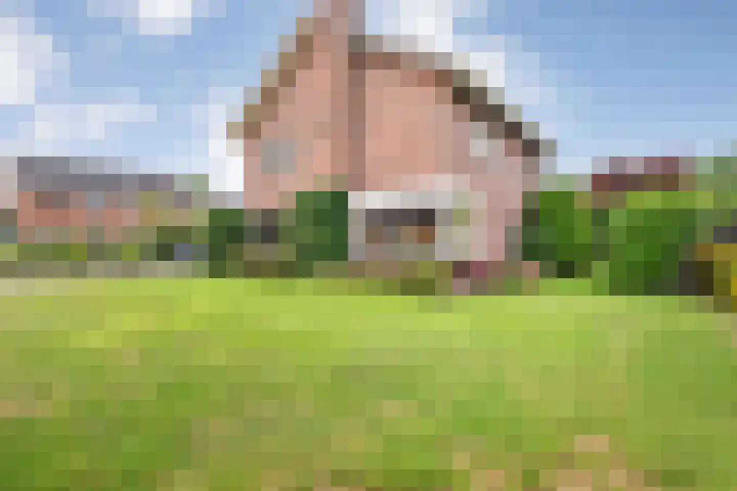 Esdoorn 6 Heino thumbnail 74