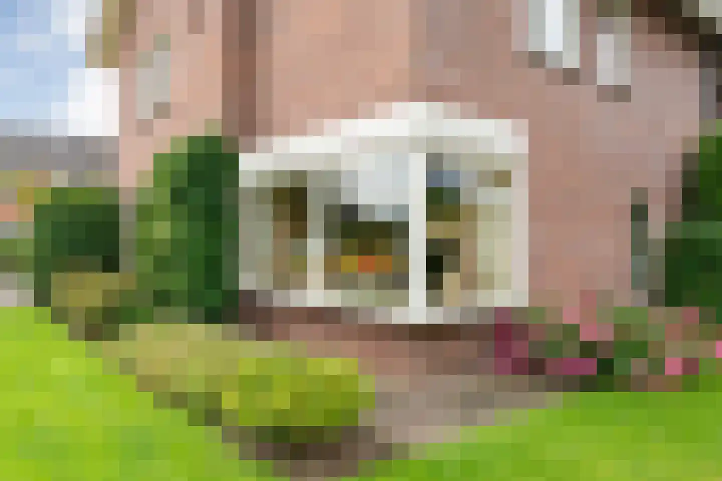 Esdoorn 6 Heino thumbnail 75