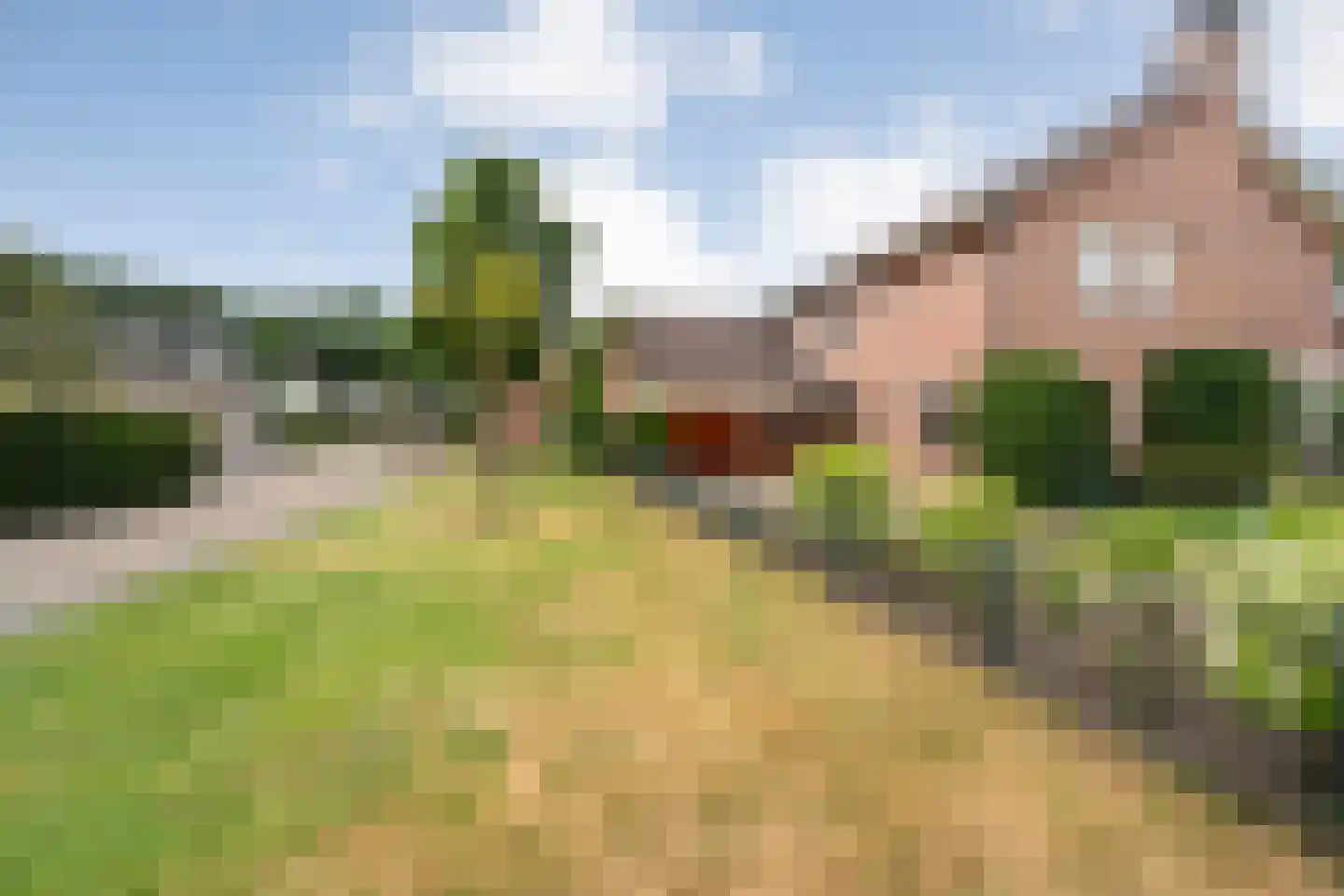 Esdoorn 6 Heino thumbnail 76